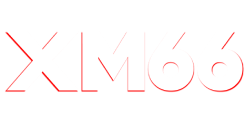 XM66 พื้นที่แห่งความบันเทิง ยกระดับประสบการณ์เดิมพัน